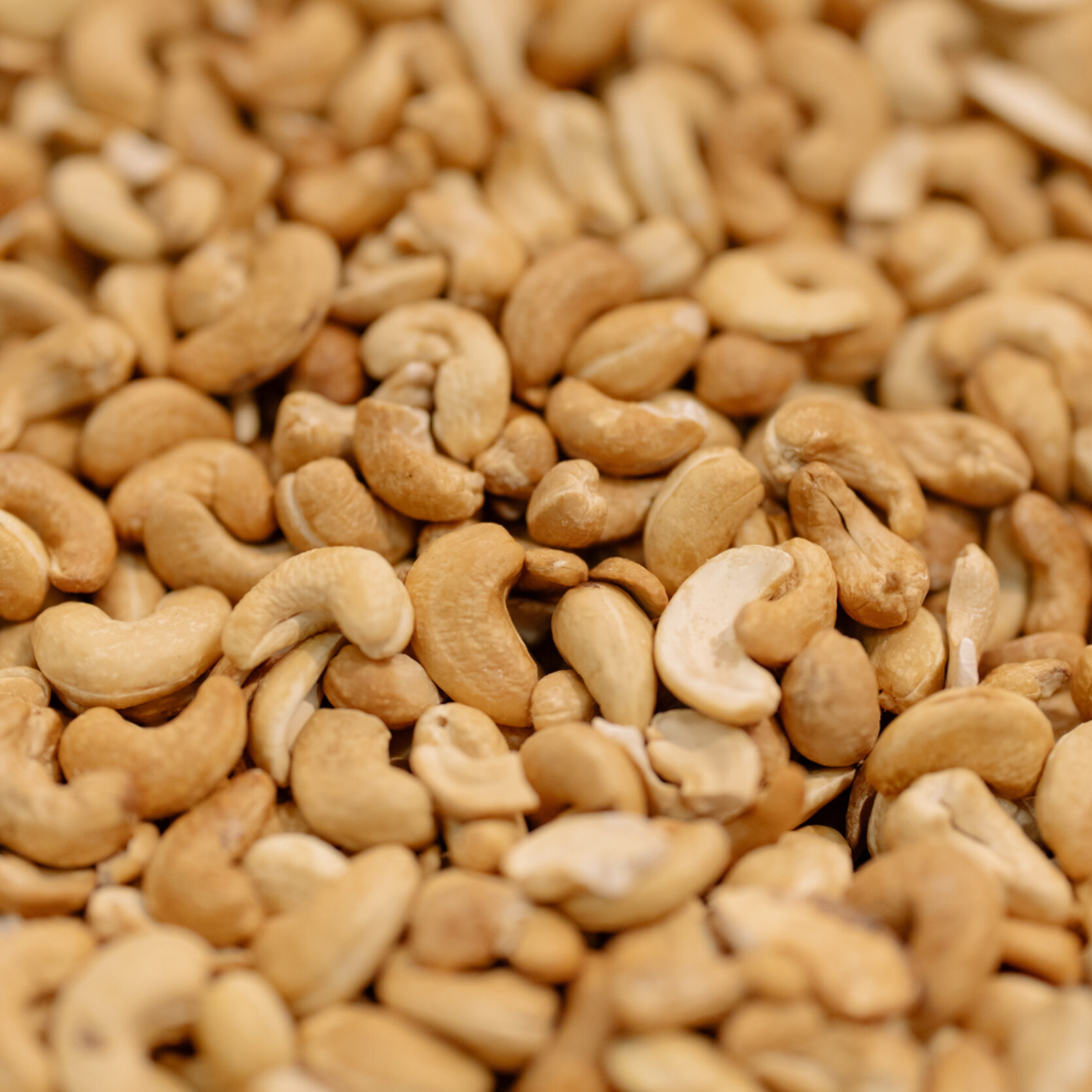 cashews-web